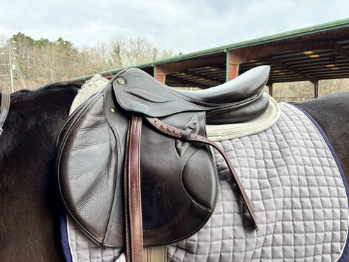 Stubben phoenix elite jump - phoenix,