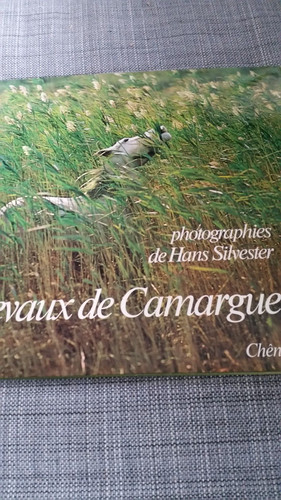 Chevaux camargue - de,