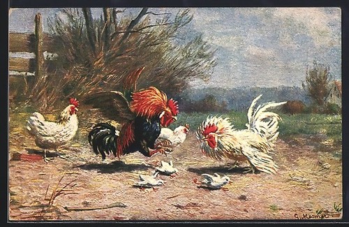 Carte postale artiste pour - postale,