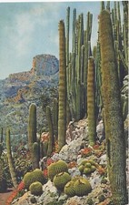 MONACO -- MONTE CARLO -- CPA