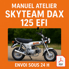 Manuel Atelier Skyteam Dax 125