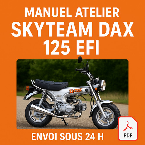 Manuel atelier skyteam - manuel, 125