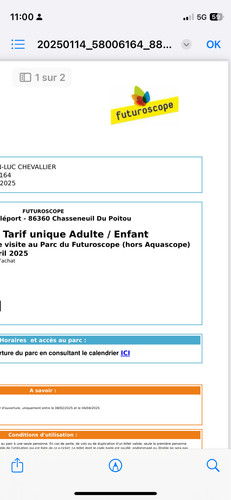 Futuroscope billet valable - 1,