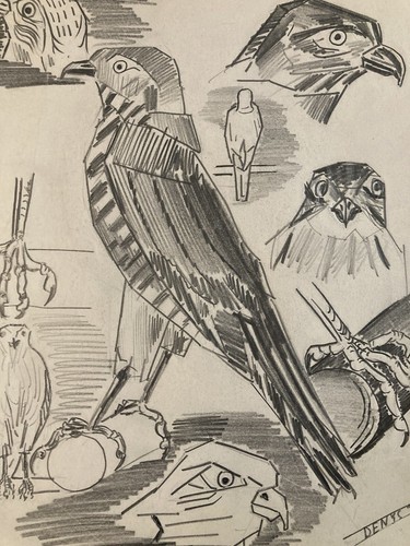 Beau dessin oiseau mine - dessin, de