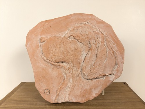 Chien epagneul relief terre - epagneul,
