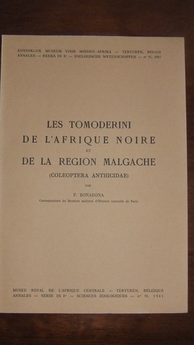 Afrique les tomoderini de - -,