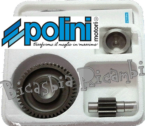 2021398 engrenages polini - 2021398,