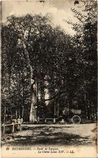 CPA Rethondes Foret de Largues (1187476)