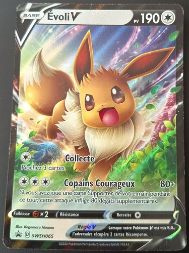 Carte pokémon evoli - carte, swsh065