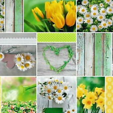 Nappe de Table en Toile Cirée