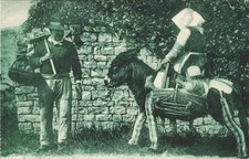 17-ILE DE RE FOLKLORE L ANE EN CULOTTE-N�T5272-B/0159