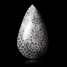 ★☆ CORAIL FOSSILE 22,55 CT