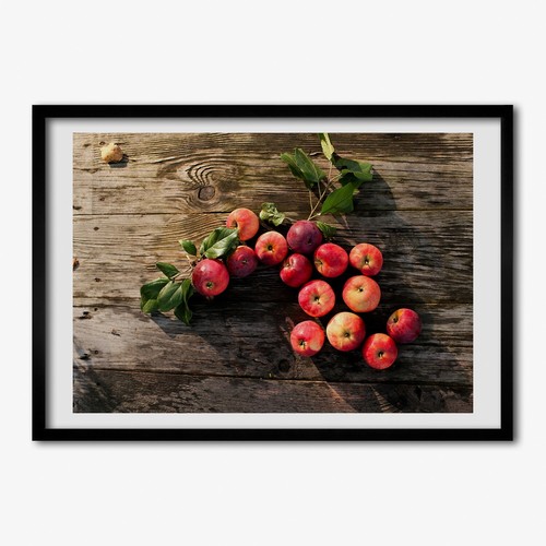 Tulup photo 100x70cm - tulup,