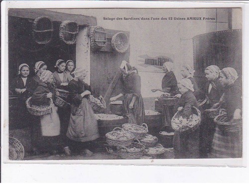 Finistere salage des sardines - finistere:,