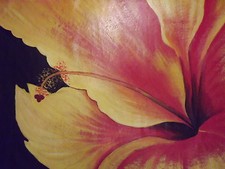 Énorme Orange Jaune Fleur