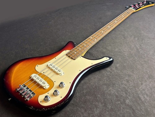 Guitare basse électrique