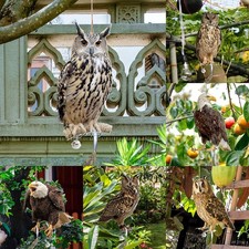 Faux carillon à vent hibou 1