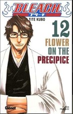 Bleach Tome 12