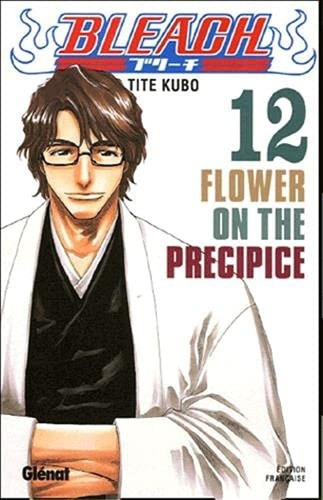 Bleach tome - tome, 12