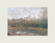 Chasse à courre venérie -