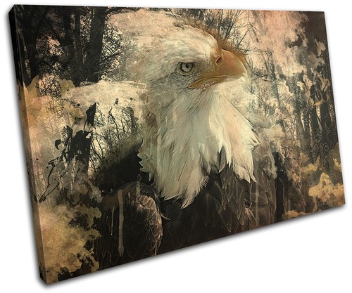 Eagle rustic vintage animals - eagle,
