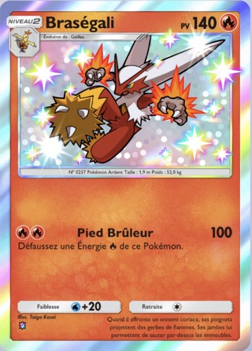 Pokemon tcg pocket - pokemon,
