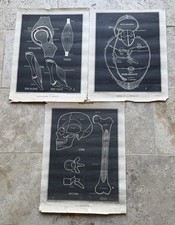 Lot 3 planche Tableau Histoire