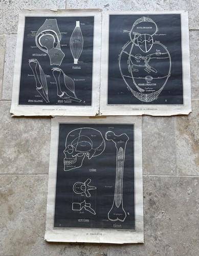 Lot planche tableau - lot, 3