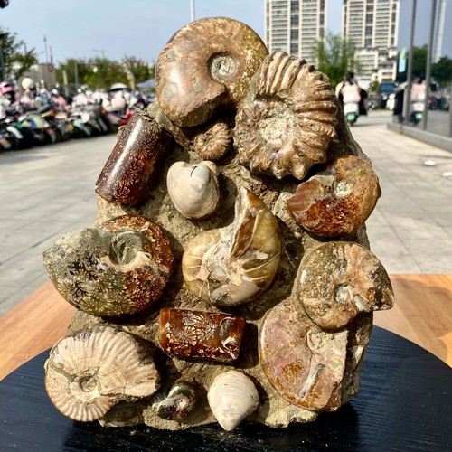 4lb rare natural - rare!,