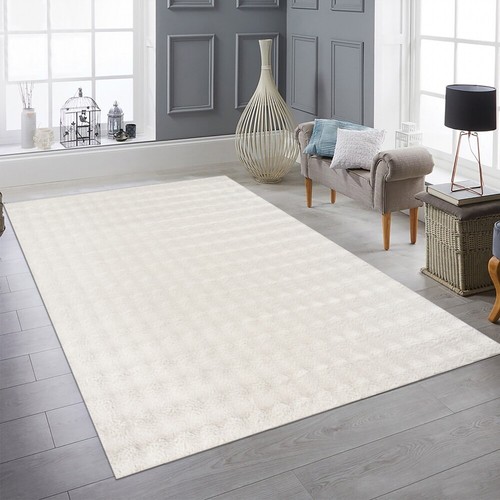Tapis salon moelleux doux