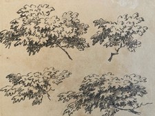 Très Belle Gravure Arbre Art