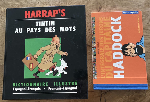 Livres dictionnaire - 2,