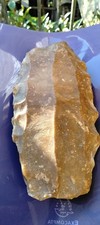 fossile, Cabinet De