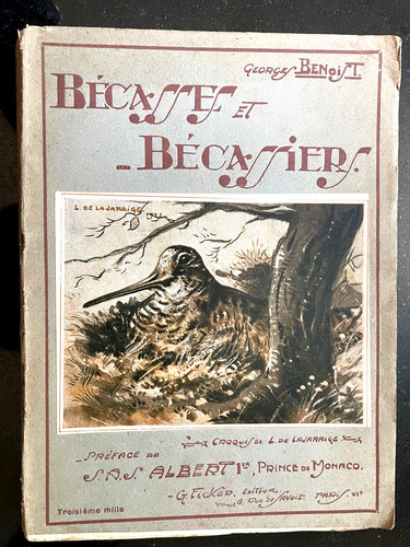 Bécasses bécassiers - bÉcasses,
