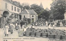 CPA 51160 MAREUIL SUR AY