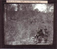 FORÊT DE HAYE - LOT 2 PLAQUES