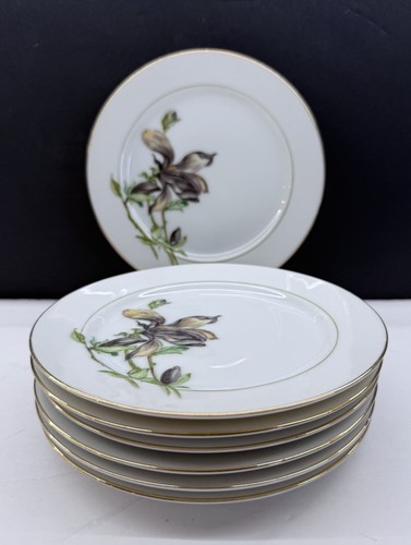 Set harmony house china - set, 4