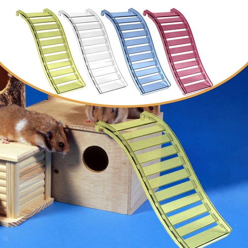 échelle pour hamster - pour,