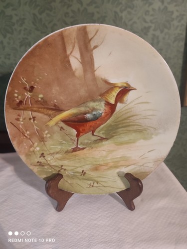 Assiette porcelaine limoges - ,