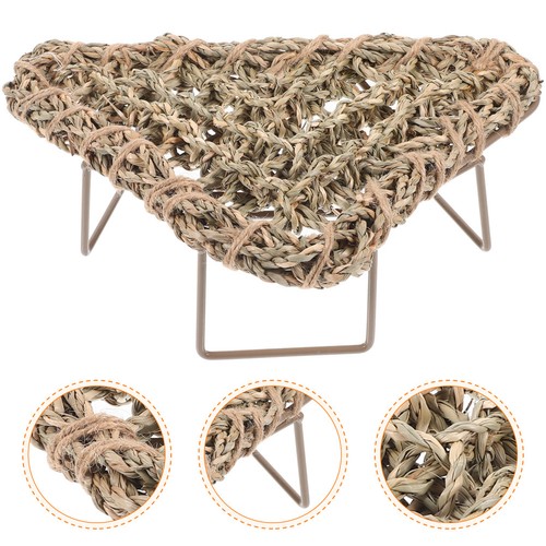 Accessoires pour dragon barbu - pour,