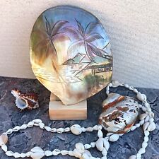 SUPERBE COQUILLAGE EN NACRE