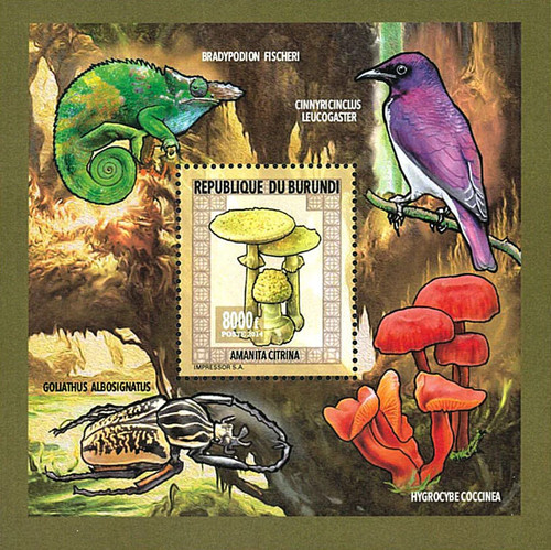 Stamps burundi 2014 perf - burundi,