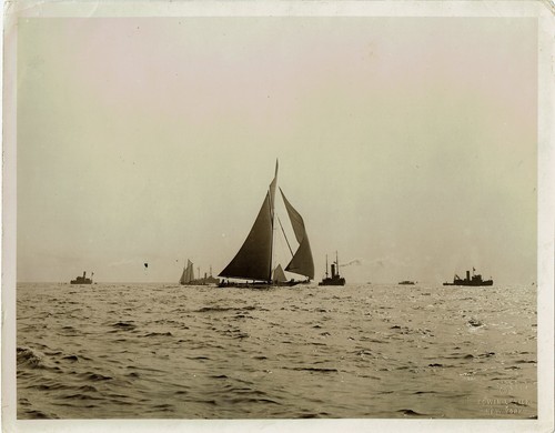 America cup entre 1900 et - cup,