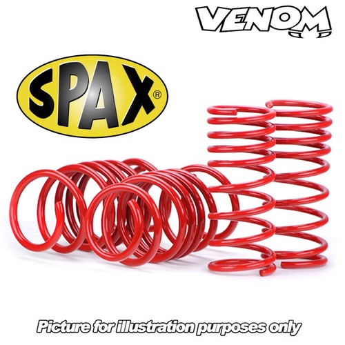 Spax 25mm lowering springs - 30/25mm,