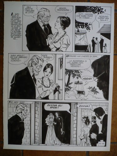 Savant fou grande planche - ,