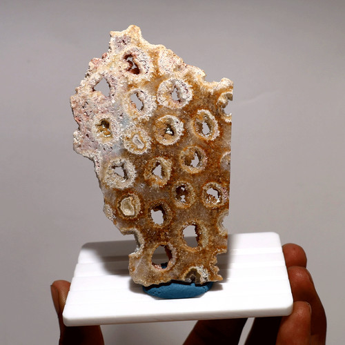 Ancienne dalle corail - dalle,
