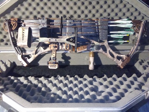 Hoyt compound bow - compound,