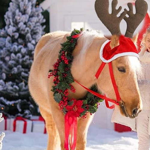 Bonnet père noël pour - de,
