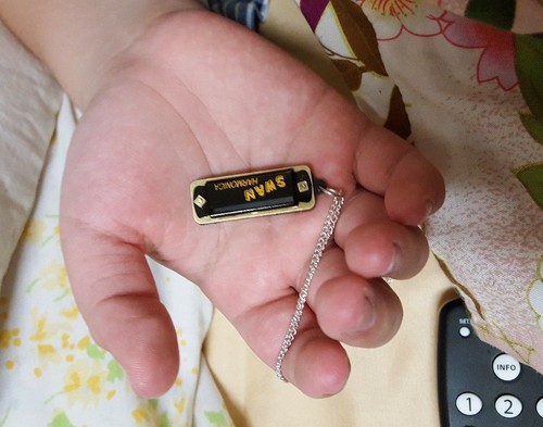World smallest playable - smallest,