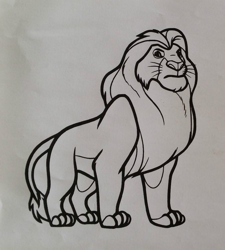Sticker roi lion - sticker,